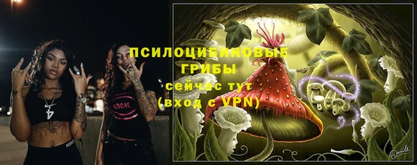 скорость Мегион