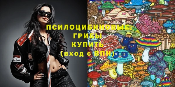 spice Медвежьегорск