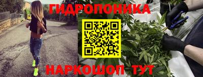 стафф Мариинск