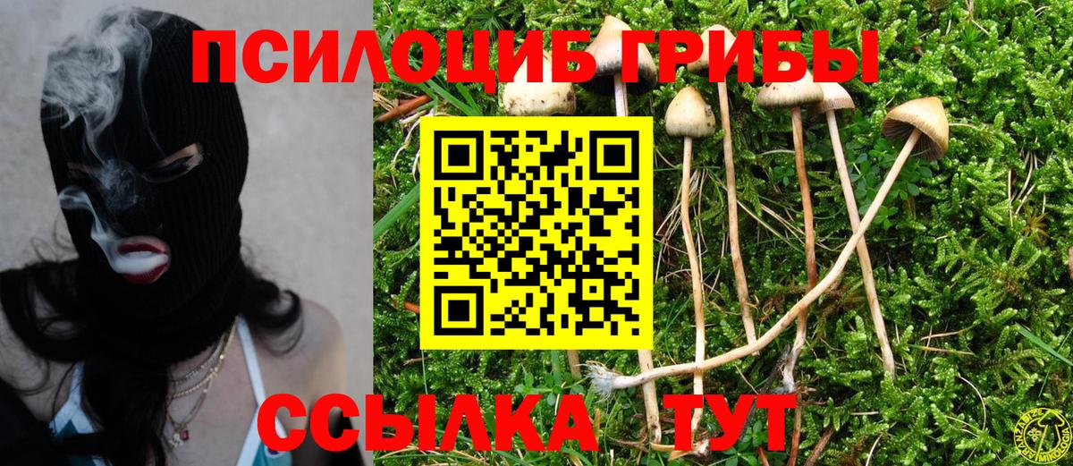 Якутск  Галлюциногенные грибы GOLDEN TEACHER  продажа наркотиков  Вход с VPN 